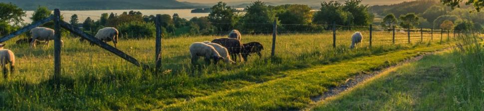 VISITES DE FERMES