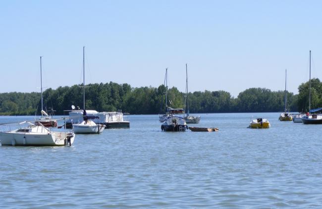 Confluent du Tarn et de la Garonne