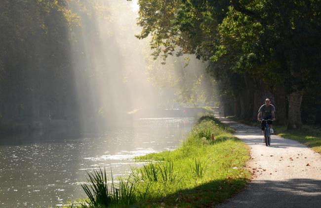 Cycliste longeant le canal latéral de Garonne Cycliste au bord du canal
