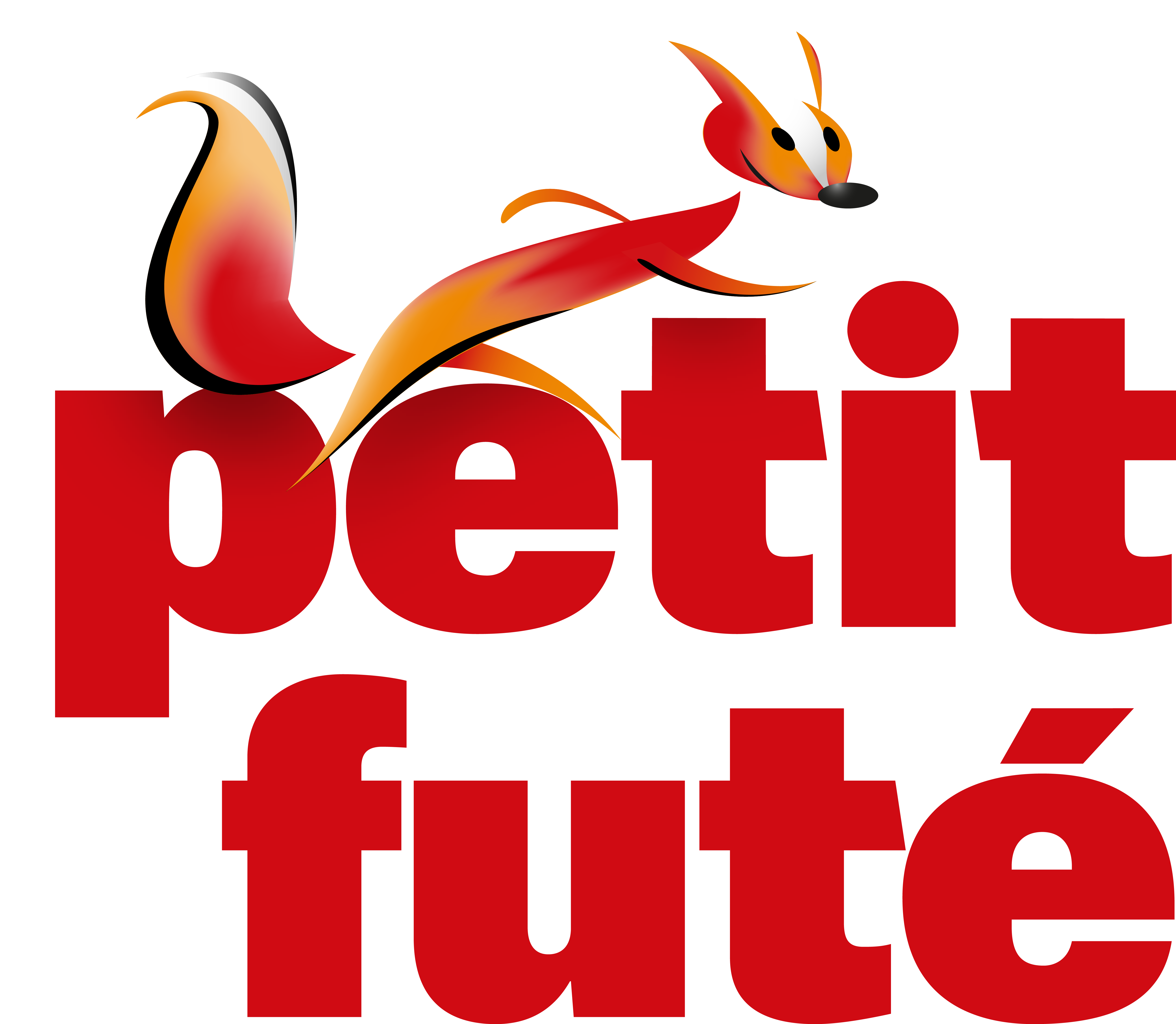 Le petit futé